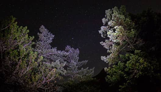 paysage nocturne peur